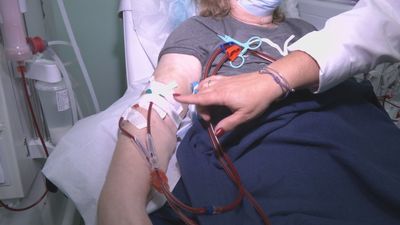 Más de 8.000 pacientes reciben tratamiento por problemas de riñón en la Comunidad de Madrid