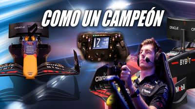Probamos el simulador de Verstappen