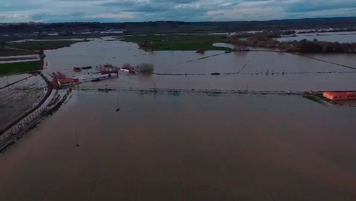 Huerta inundada / Redacción
