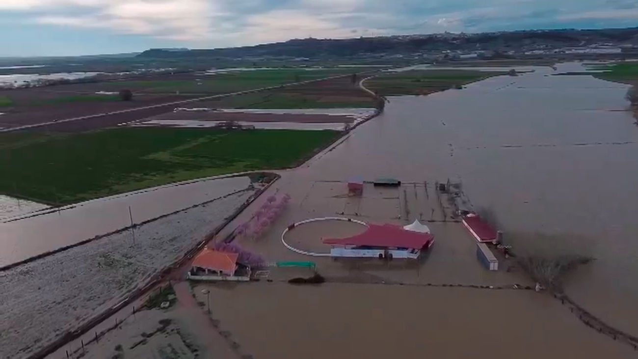 La borrasca Jana deja huertas y ganaderías totalmente inundadas en Aranjuez