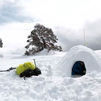 ¿Cómo sobrevivir con nieve en Navacerrada?