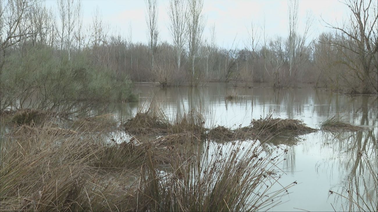 La Comunidad de Madrid comprueba en Algete el estado de las Lagunas de las Huelgas tras la borrasca Jana