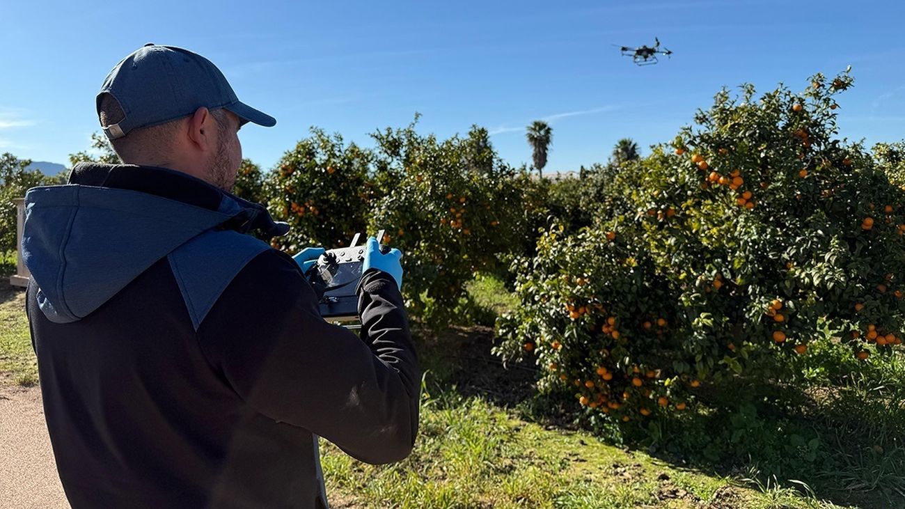 Un piloto maneja un dron para el control de plagas