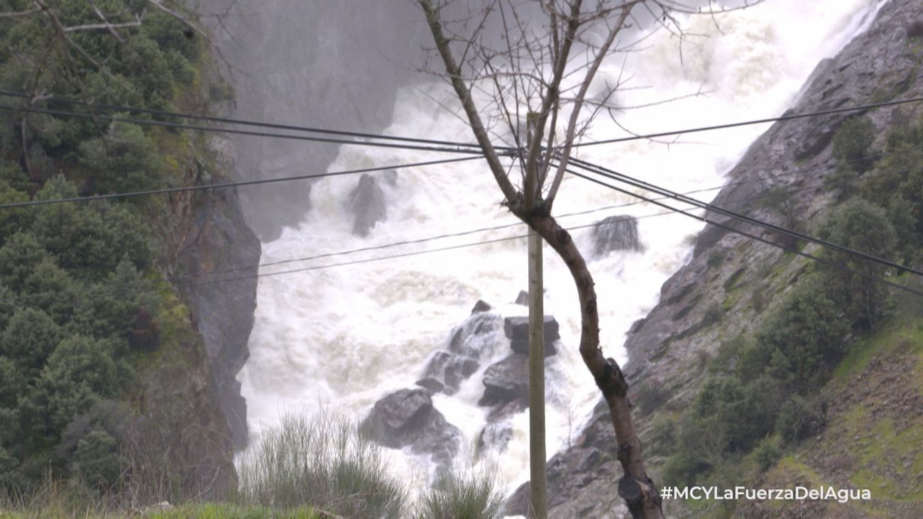Mi cámara y yo: La fuerza del agua