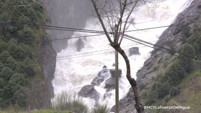 Mi cámara y yo: La fuerza del agua