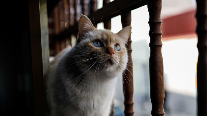 En Latina hay 23.938 / EUROPA PRESS