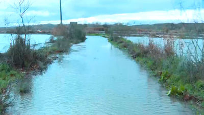 Alerta por inundaciones alrededor de los ríos Jarama, Henares y Alberche