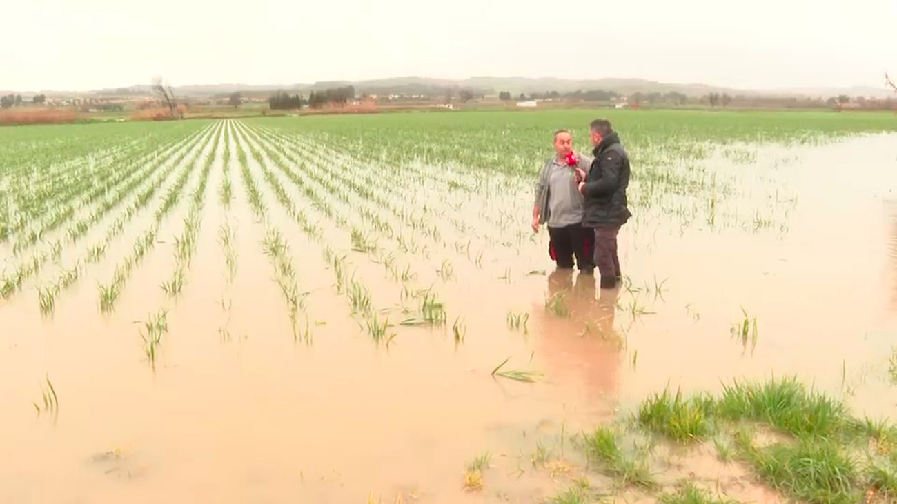 El desbordamiento del río Tajuña arrasa cultivos en Titulcia: pérdidas millonarias y desesperación entre agricultores