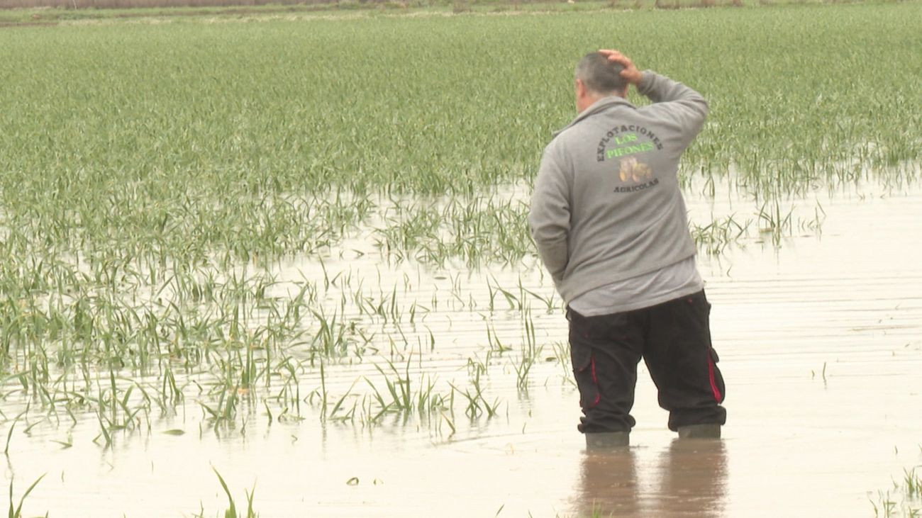 Las fuertes lluvias arrasan con las cosechas del campo madrileño y ponen en apuro a los agricultores