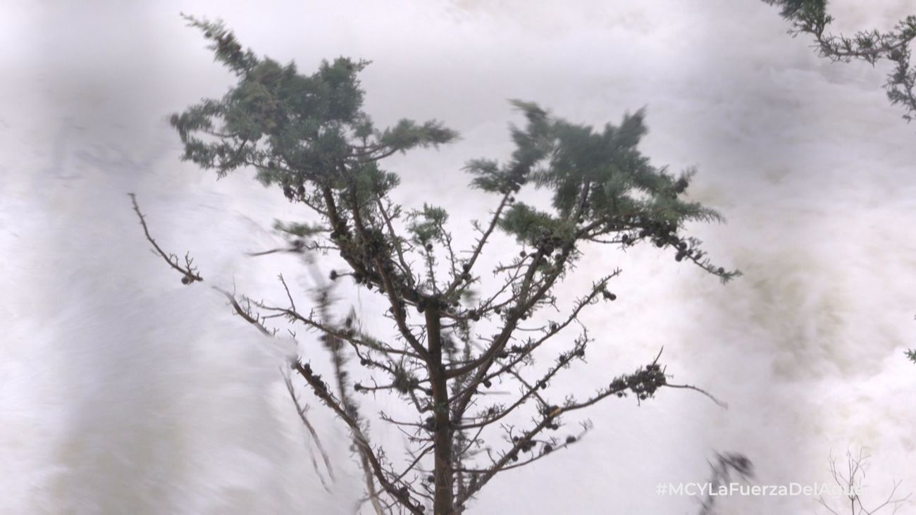 Impresionante suelta de agua en el embalse del Burguillo