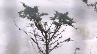 Impresionante suelta de agua en el embalse del Burguillo