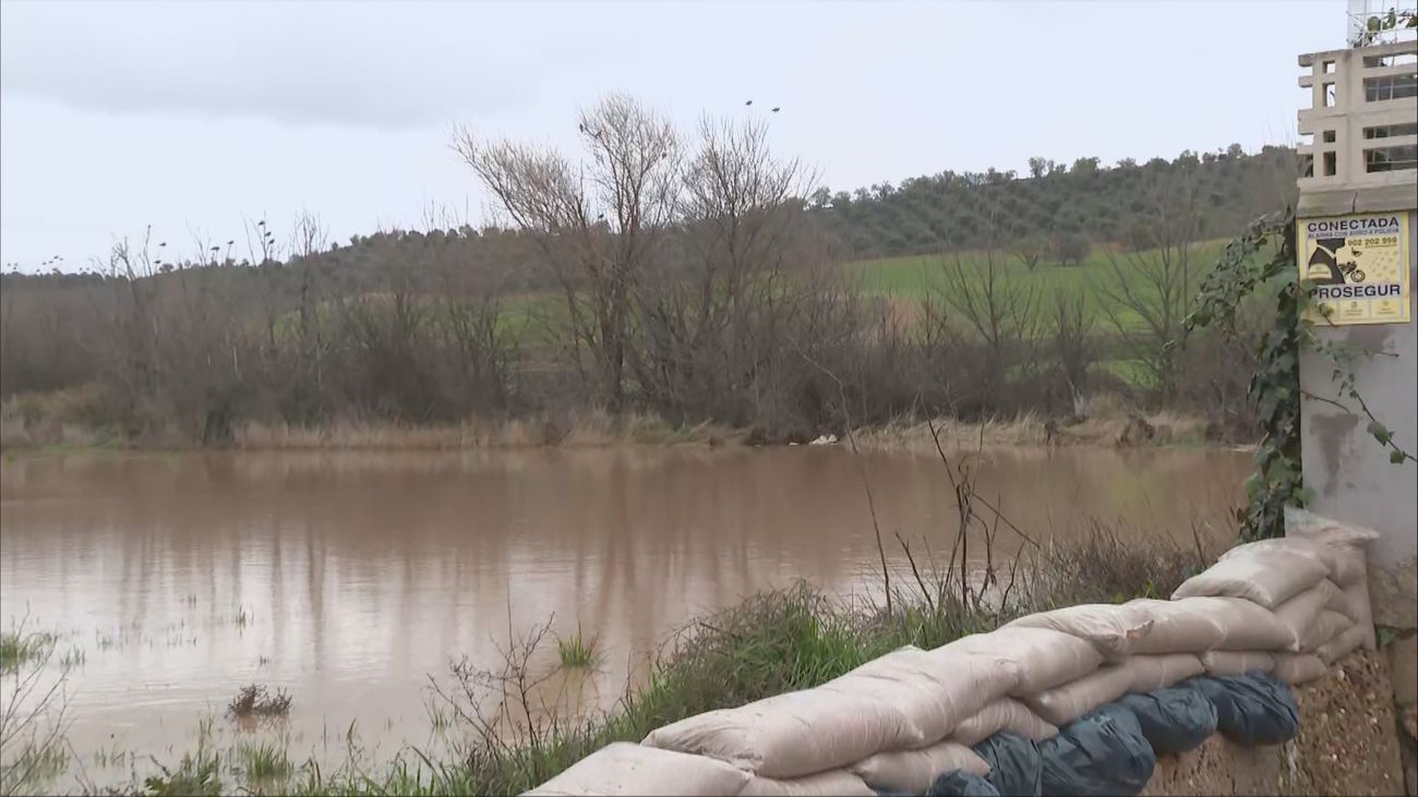 El río Jarama inunda sótanos y cultivos en varios municipios de Madrid