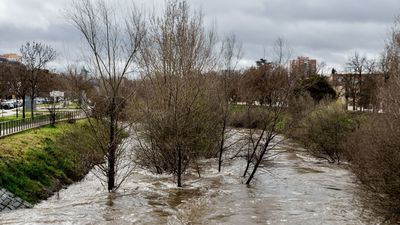 El Manzanares se reivindica tras siglos de burlas