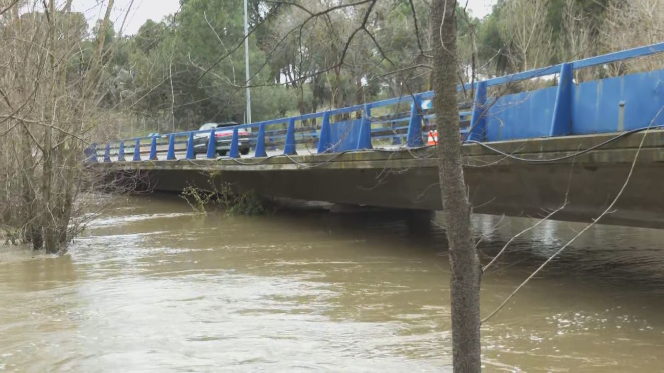 El agua del Manzanares, a pocos centímetros del puente de la A-6 en Puerta de Hierro