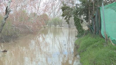 Evacuadas 48 personas en Mejorada del Campo por las crecidas de los ríos Henares y Jarama