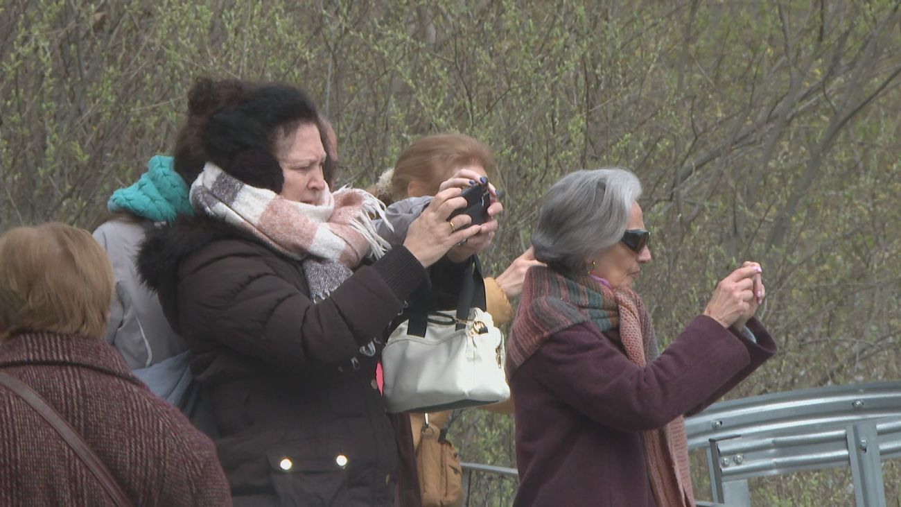 El río Manzanares, objetivo de las cámaras de los madrileños