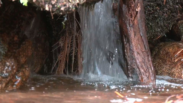 Ruta por la sierra / redacción