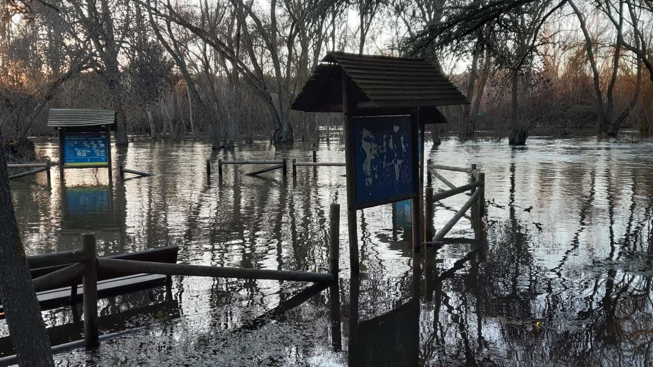 Novillo pide "sensibilidad" al Gobierno para agilizar la declaración de zona catastrófica en Madrid
