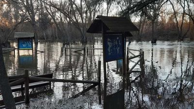 Novillo pide "sensibilidad" al Gobierno para agilizar la declaración de zona catastrófica en Madrid