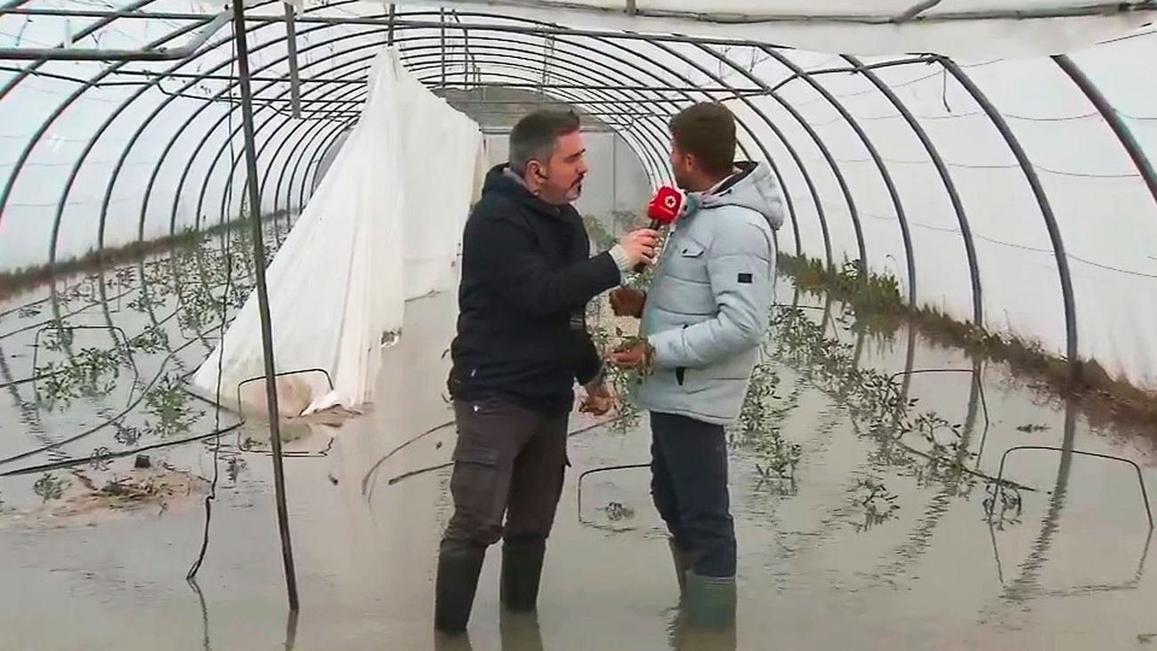 El lamento de un agricultor de Perales de Tajuña tras haber perdido el 70% de su cosecha: "Es mejor no aparecer por aquí"