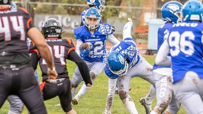 Black Demons Las Rozas rubrica una temporada regular perfecta en la liga masculina de fútbol americano