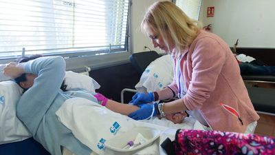 Estas son las profesiones más demandadas en España