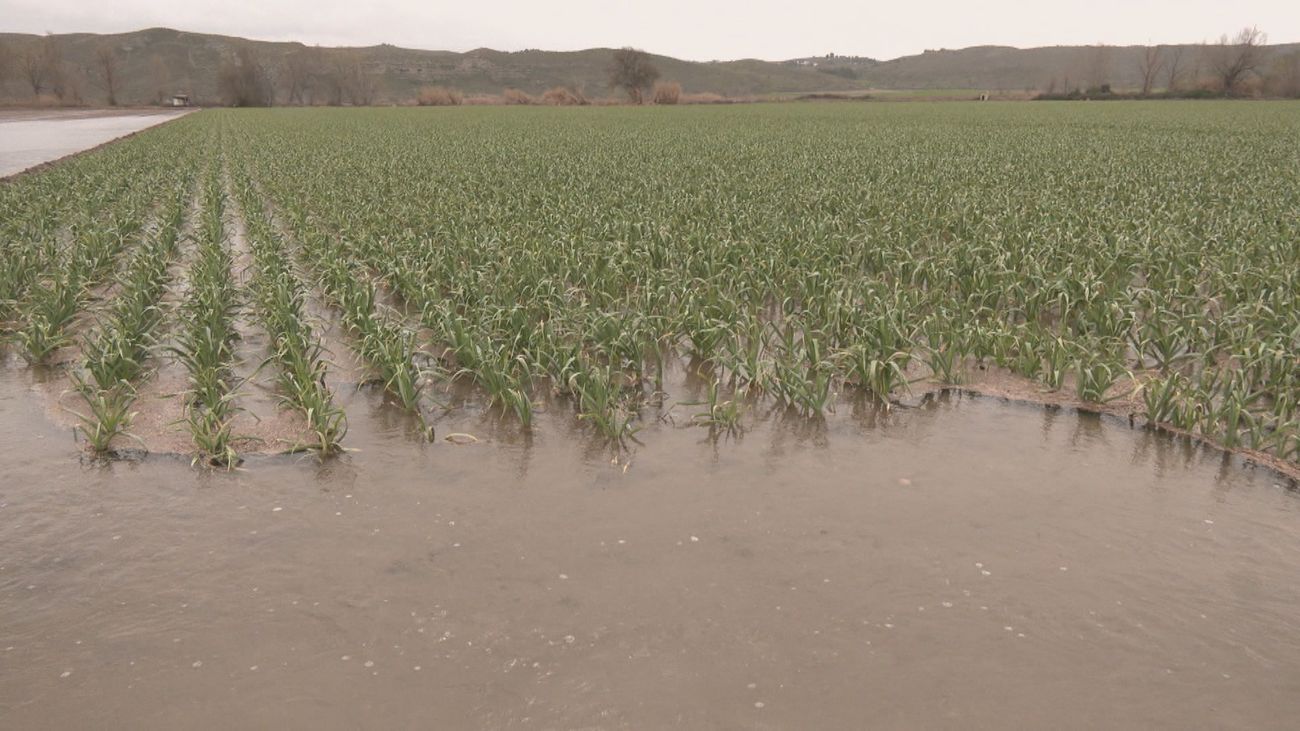 La Comunidad pide al Gobierno la declaración de zonas gravemente afectadas para los municipios  afectados por las últimas lluvias
