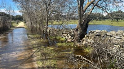 Galapagar recorta su marcha solidaria por tramos inundados en el recorrido