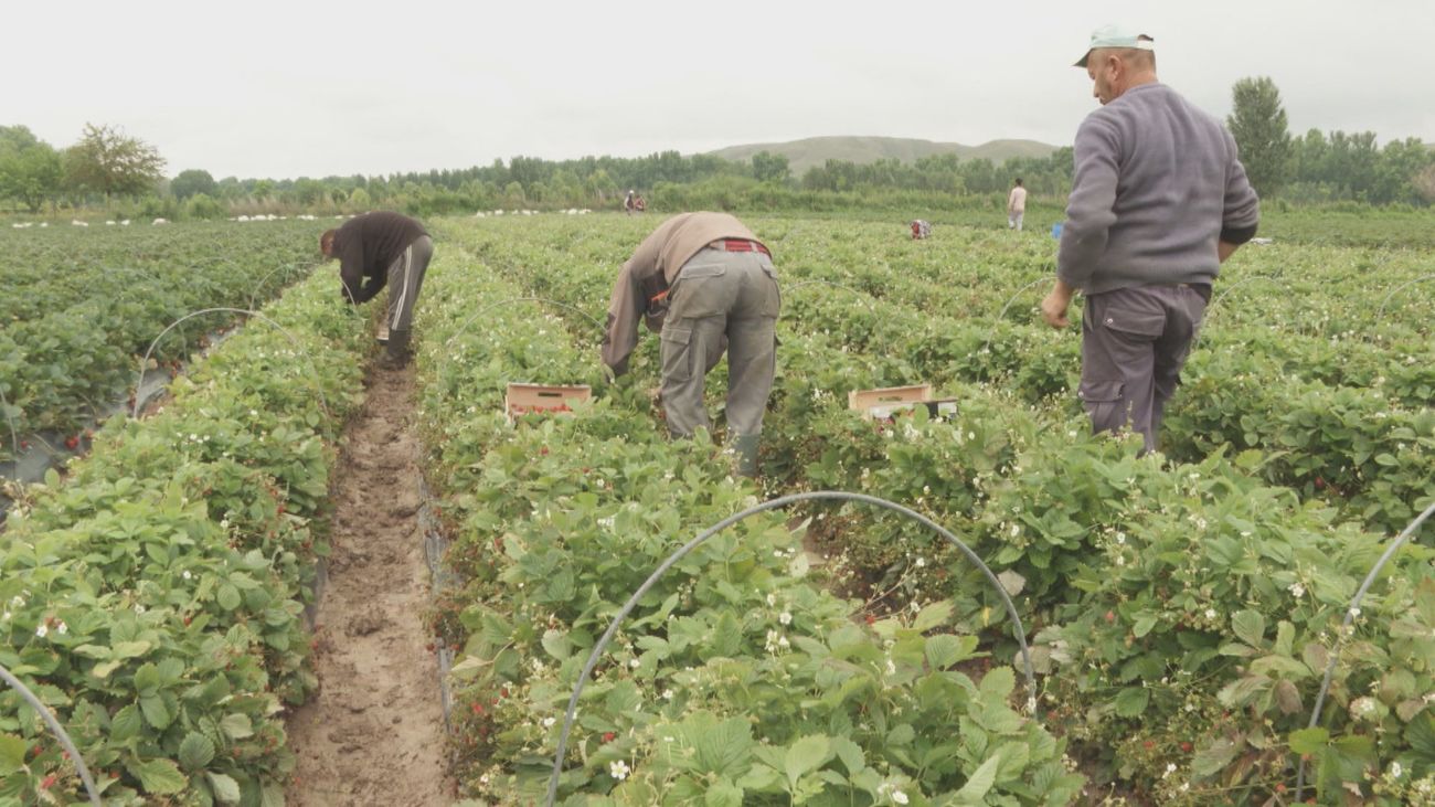 El PIB sube en el segundo trimestre por encima de lo esperado: un 0,8% trimestral y un 3,1% interanual