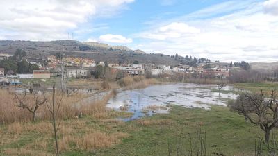 El 70% de la agricultura de Perales de Tajuña se perderá a causa de las inundaciones