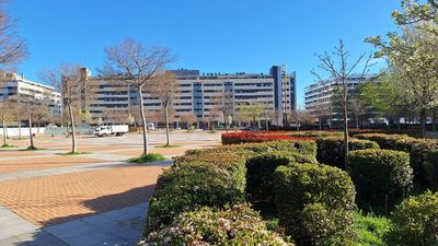 Un nuevo mercadillo para los domingos de Alcalá de Henares