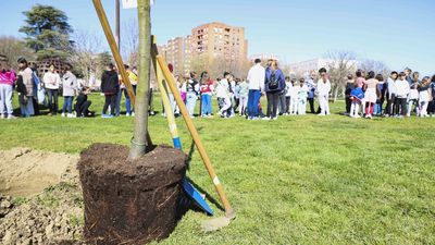 Escolares del Móstoles participan en una plantación en el Parque Lineal Arroyo del Soto