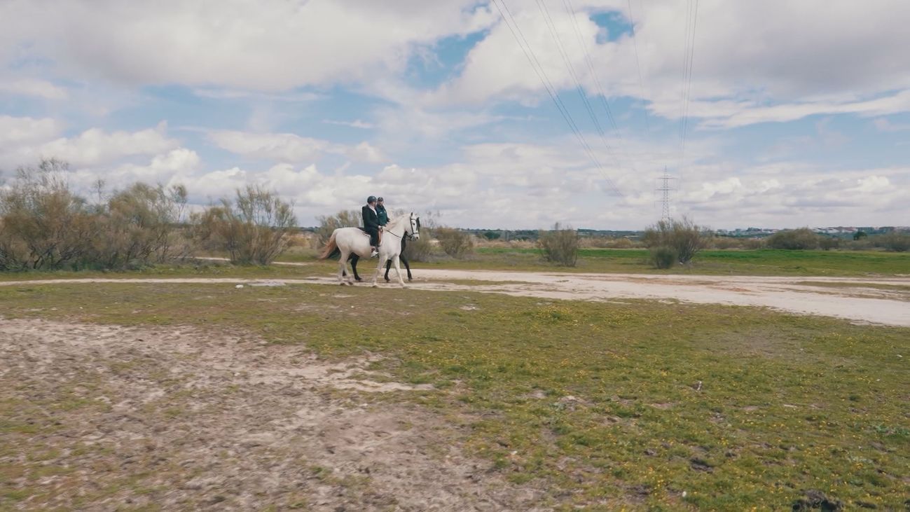 Al trote o al galope, montar a caballo: una aventura con grandes beneficios para la salud emocional