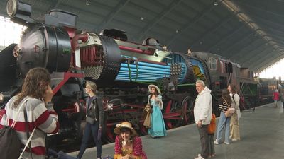 El Tren de la Fresa 2025 regresa a Aranjuez con una novedad estelar: ¡Ruta en Piragua!