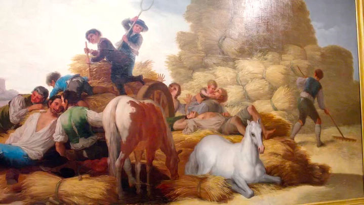 El verano de Goya / redacción