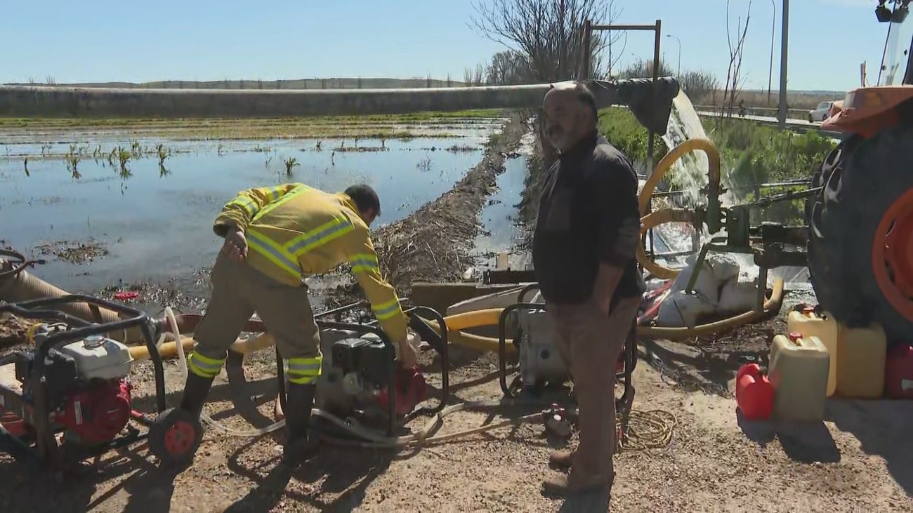 Agricultores de Aranjuez piden ayudas para sus campos inundados: "Esto es insalvable"