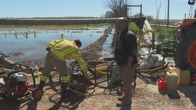 Agricultores de Aranjuez piden ayudas para sus campos inundados: "Esto es insalvable"