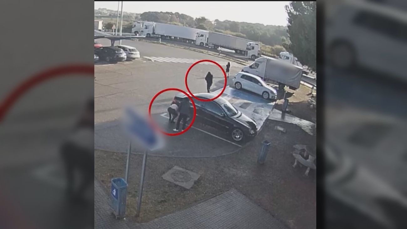 El coche más robado en Madrid es el Seat Ibiza