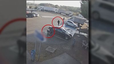 El coche más robado en Madrid es el Seat Ibiza