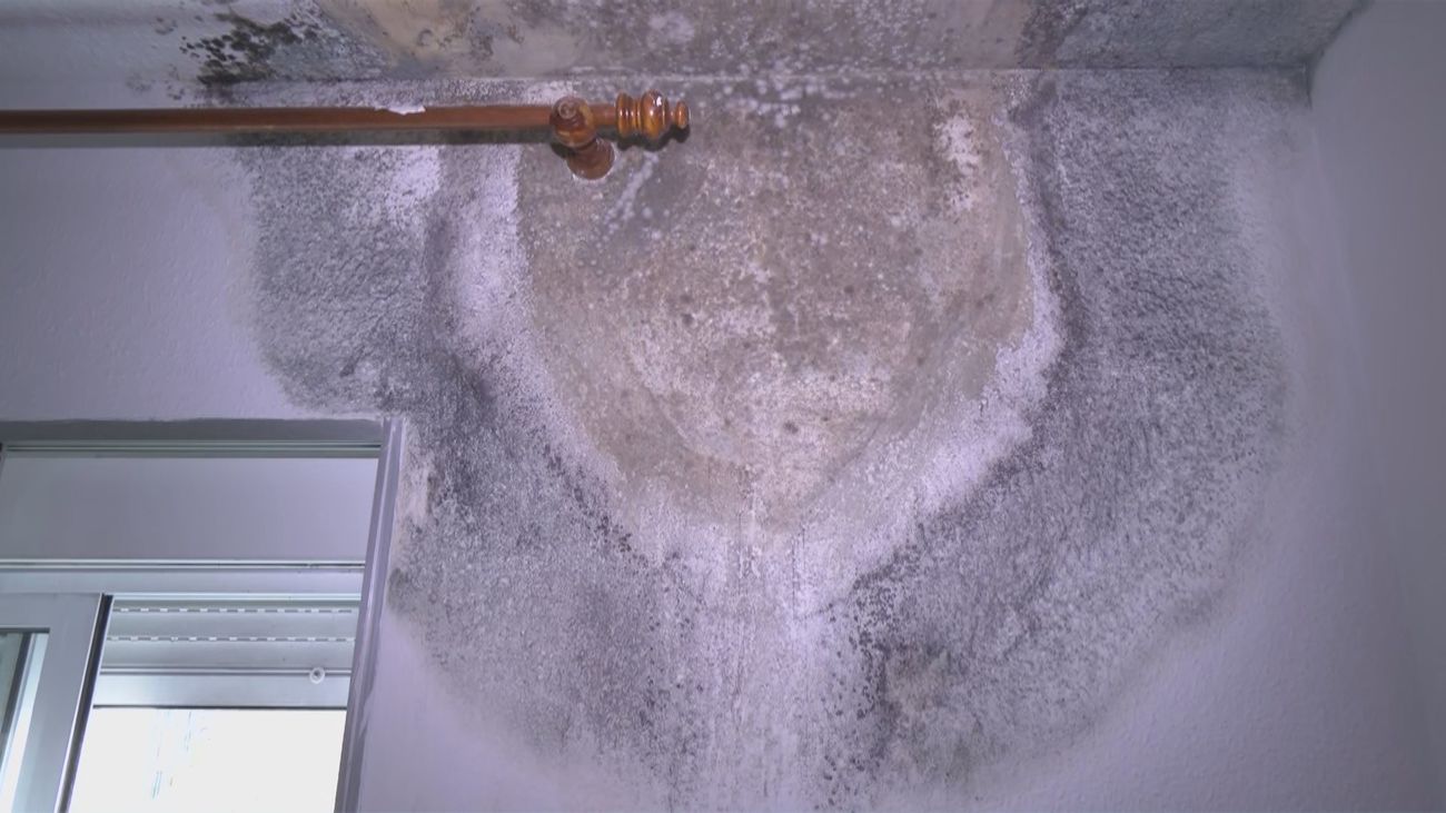 Un matrimonio octogenario en Barajas clama por ayuda ante humedades que amenazan su salud