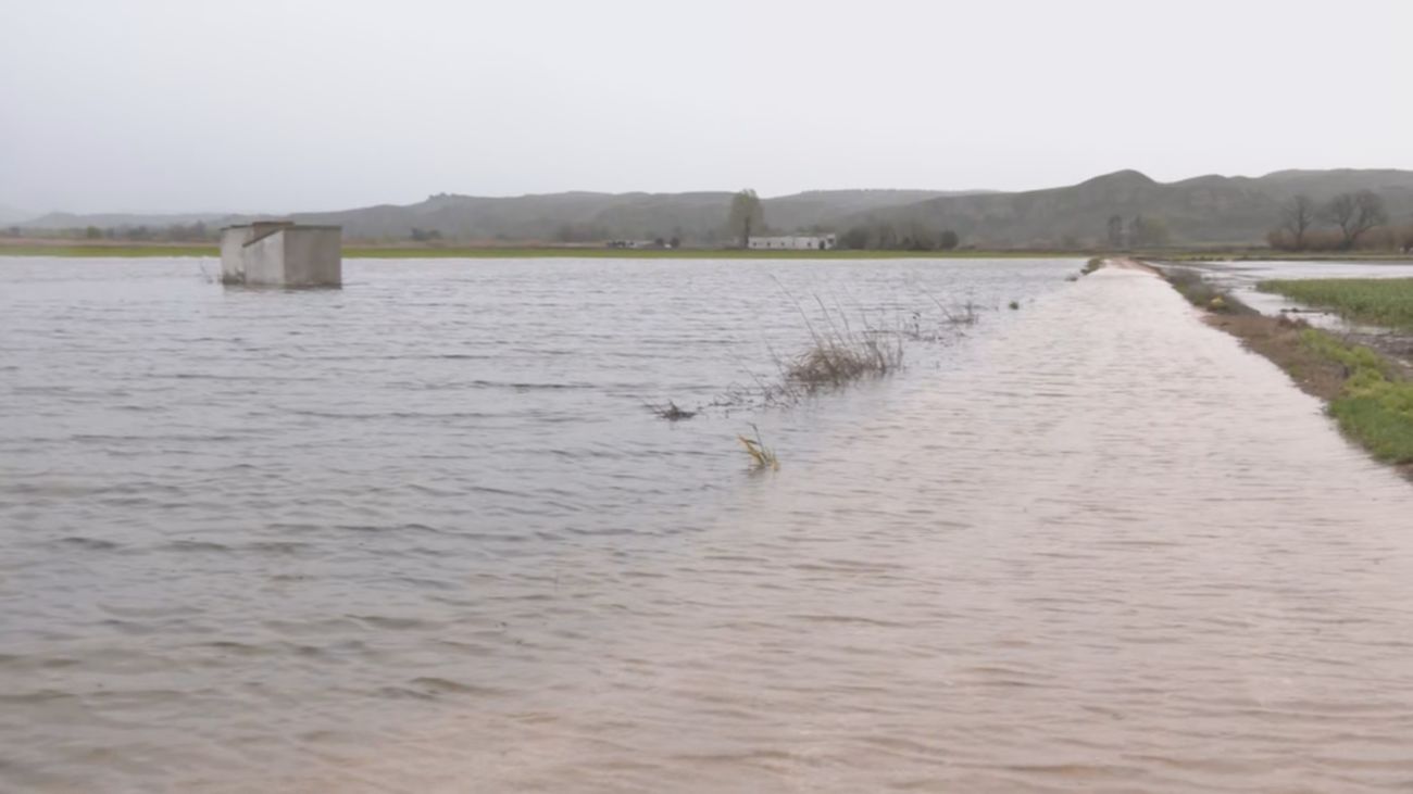 Llueve sobre mojado en Titulcia: los agricultores enfrentan la devastación de sus cultivos