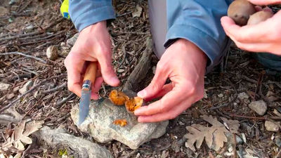 La botica natural en la sierra de Guadarrama