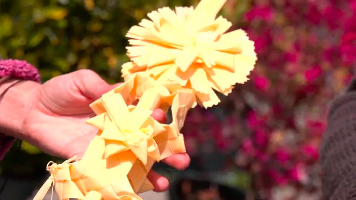 Palma de Semana Santa / redacción