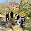 Escolares de Majadahonda plantan árboles en parques de la ciudad