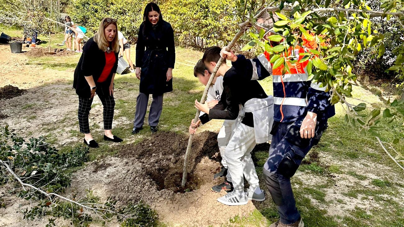 Escolares de Majadahonda plantan árboles en parques de la ciudad