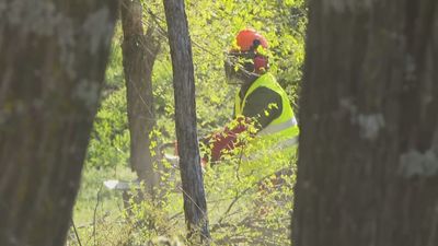 Vecinos de Montecarmelo paralizan la tala de árboles para construir el cantón de limpieza