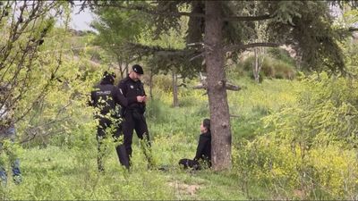 Vecinos de Montecarmelo trepan y se encadenan a los árboles para evitar la tala