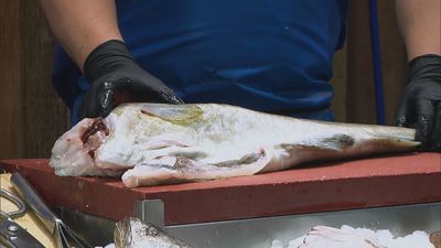 Madrid mejora tu vida 13.04.2025