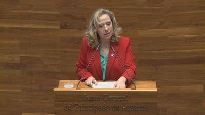 La consejera asturiana de Industria dimite tras dar explicaciones del accidente minero