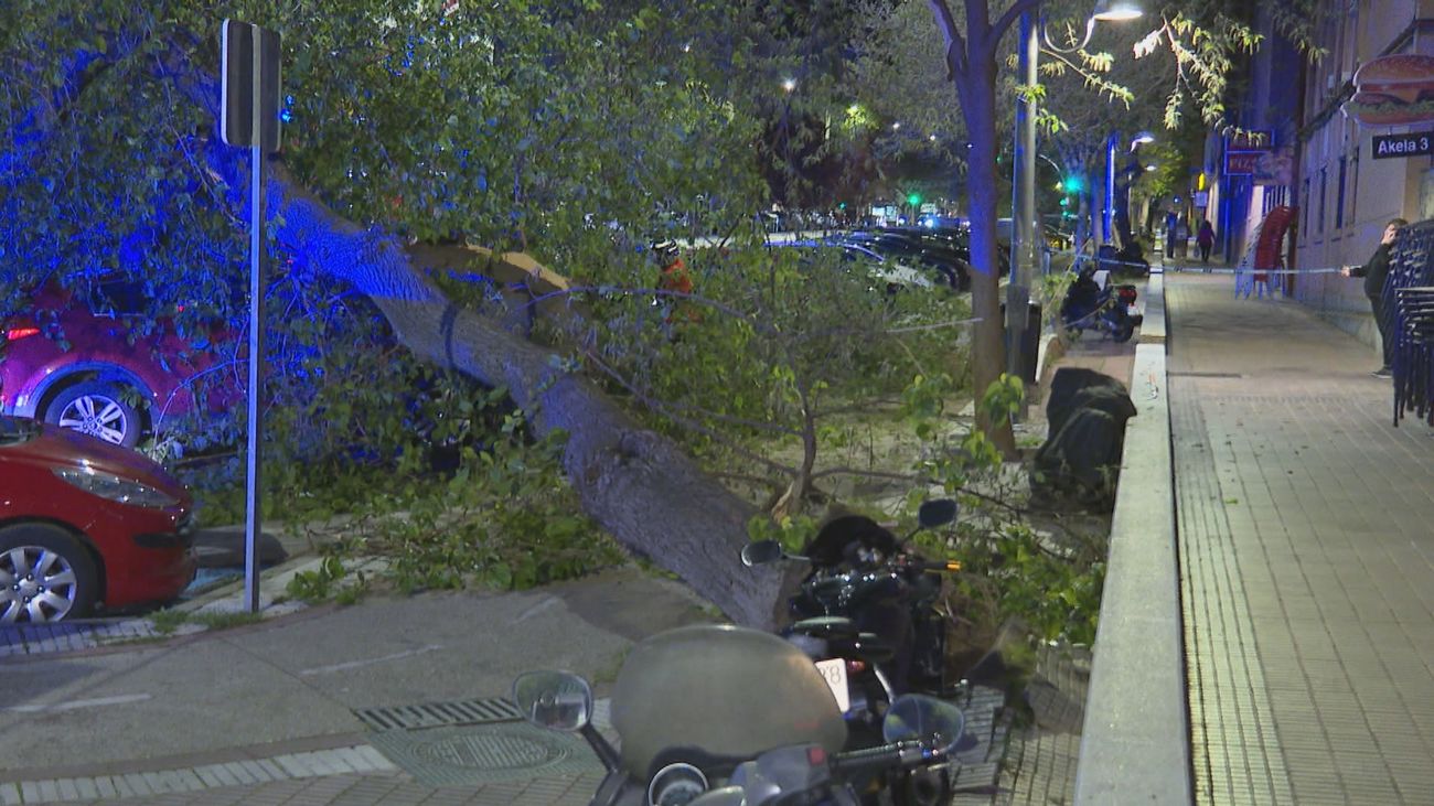 Un vehículo aplastado por la caída de un árbol en La Elipa